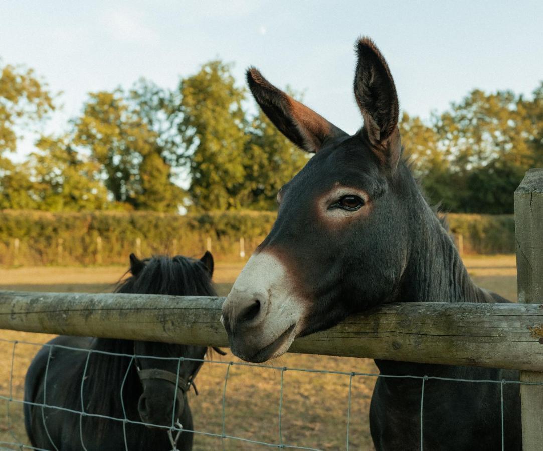 فيلا Glamping At The Retreat Wiltshire Is Rural Bliss كيبنهام المظهر الخارجي الصورة